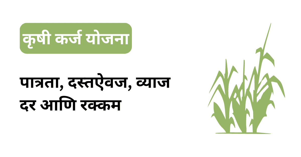 agri loan information in marathi